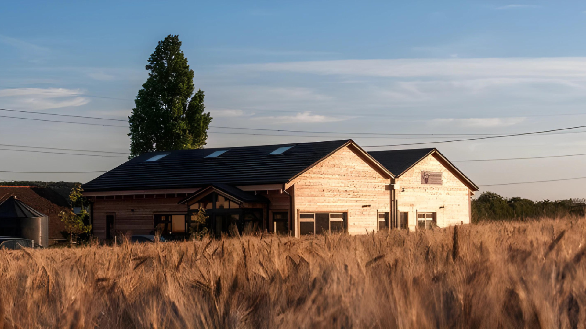 How One Veterinary Centre Embraced Sustainable Energy, Whitstable